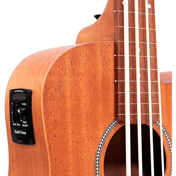 23 Scale Fretless Acoustic Electric MicroBass Natural