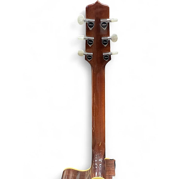 Takamine Used 2002 Takamine Limited Edition Whales Natural Acoustic Electric Guitar.gc