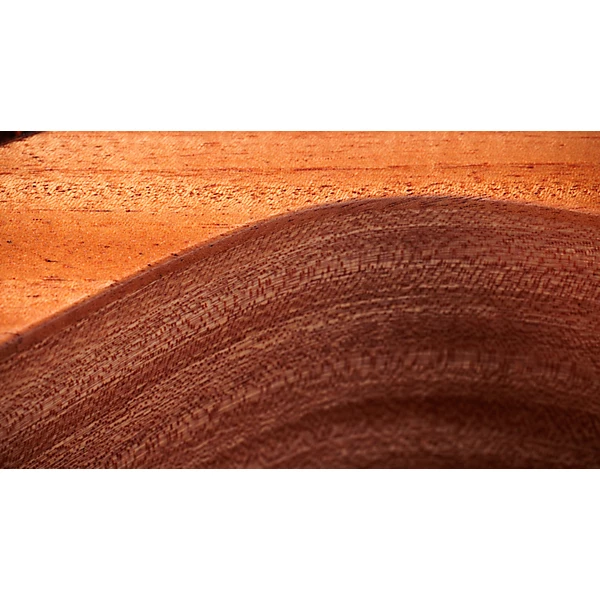 Taylor 24ce Grand Auditorium Acoustic Electric Guitar Natural