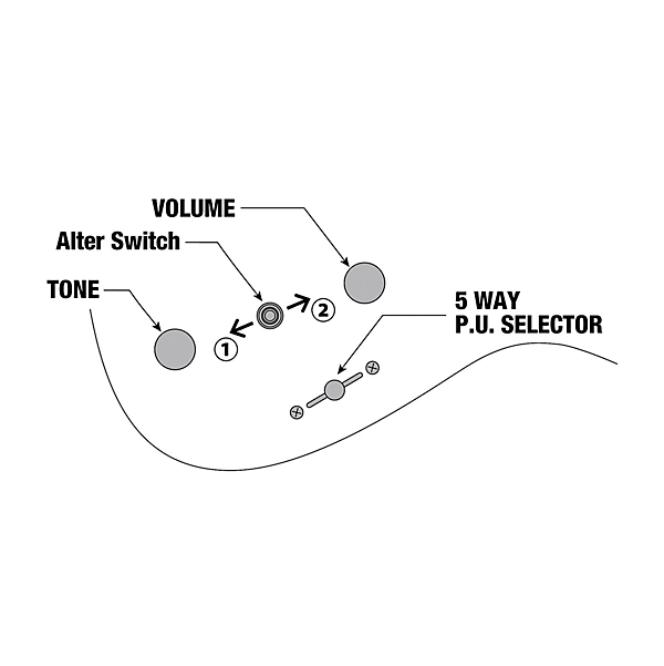 Ibanez Q Standard 7 String Electric Guitar Natural Flat