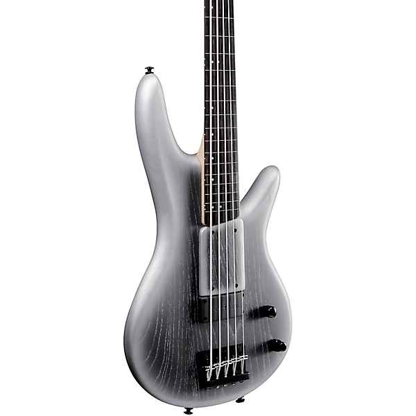 GWB25TH Gary Willis Signature 5 String Electric Bass Silver Wave Burst Flat