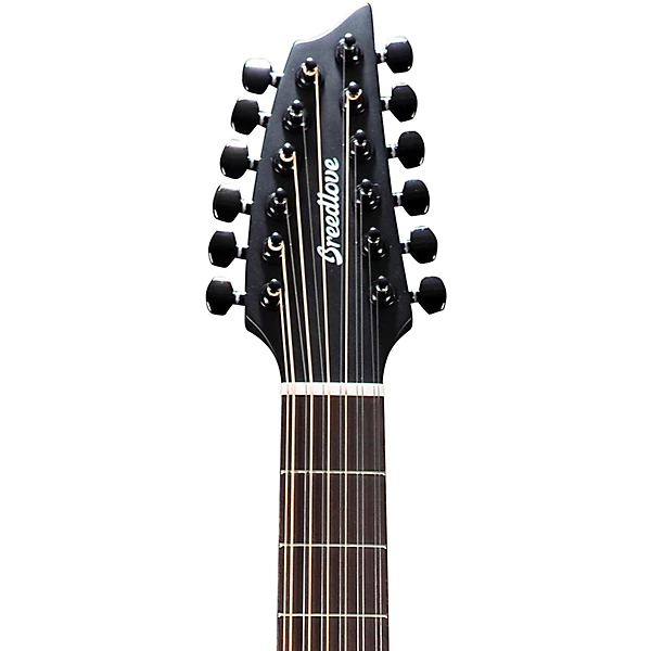 Breedlove Discovery S CE European Spruce 12 String Concert Acoustic Electric Guitar Black