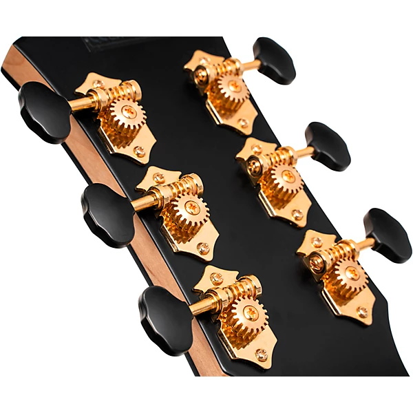 Gold Passion Concert Acoustic Electric Guitar Natural