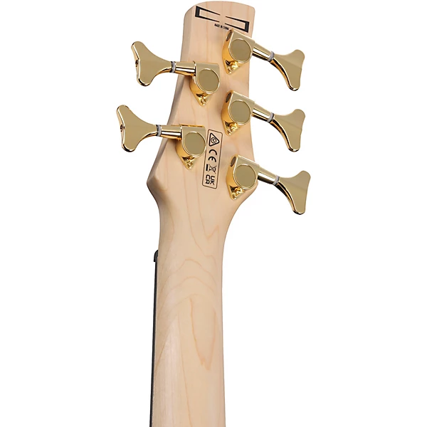 Ibanez GSR205PC 5 String Electric Bass Guitar Transparent Marine Burst