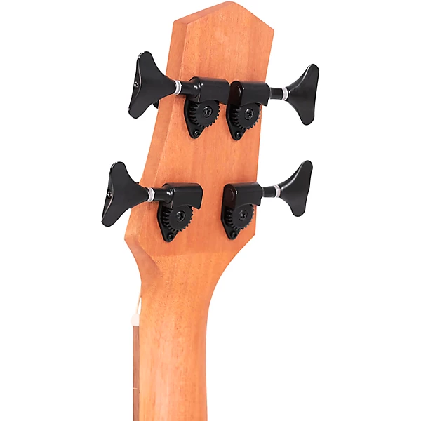 23 Scale Fretless Acoustic Electric MicroBass Natural