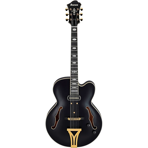 Pat Metheny Signature Electric Guitar Black Low Gloss