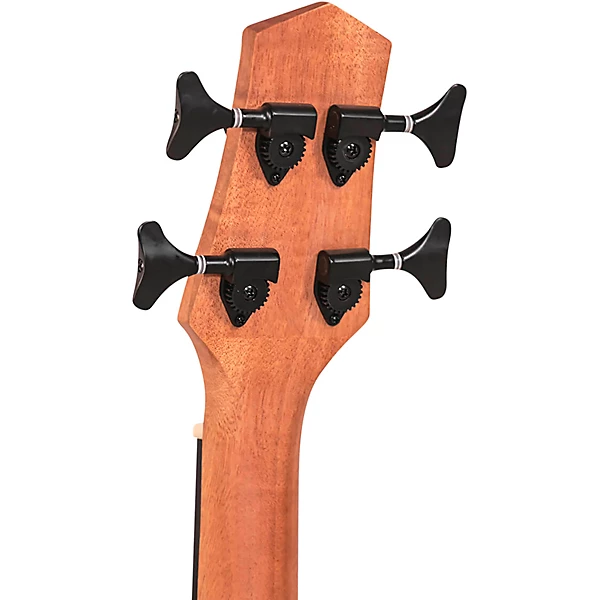 23 Scale Acoustic Electric MicroBass Natural