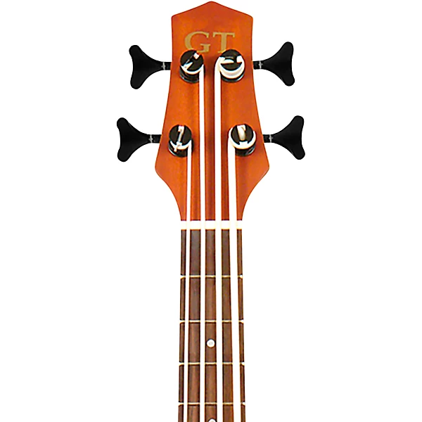 23 Inch Scale Left Handed Acoustic Electric MicroBass with Gig Bag