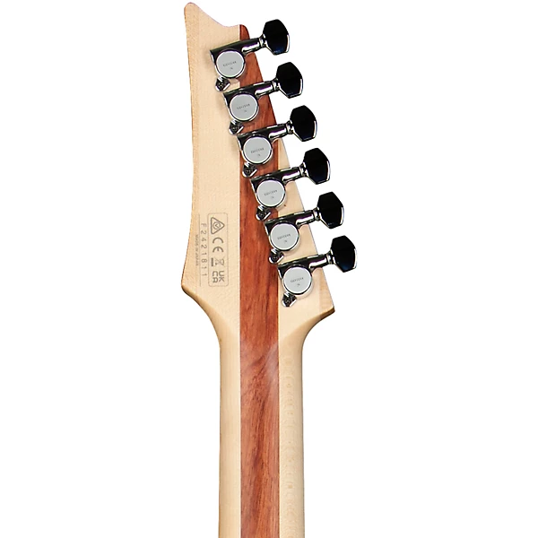 JS2450 Joe Satriani Signature Electric Guitar Muscle Car Purple