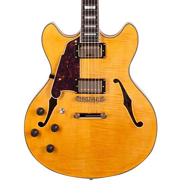 D'Angelico Excel Series DC Left Handed Semi Hollowbody Electric Guitar with Stopbar Tailpiece Natural