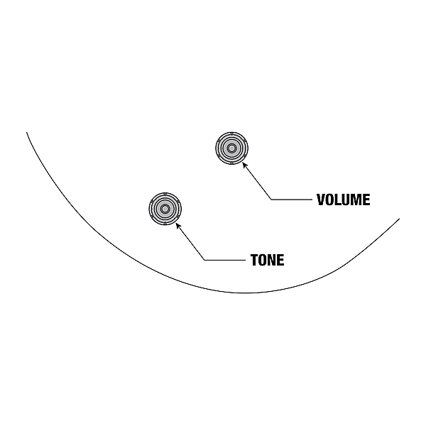 Pat Metheny Signature Electric Guitar Black Low Gloss