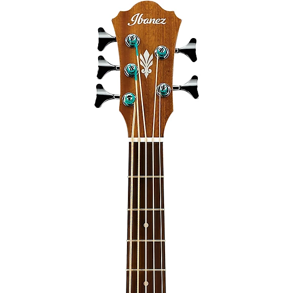 AEB105E Acoustic Electric 5 String Bass Gloss Natural