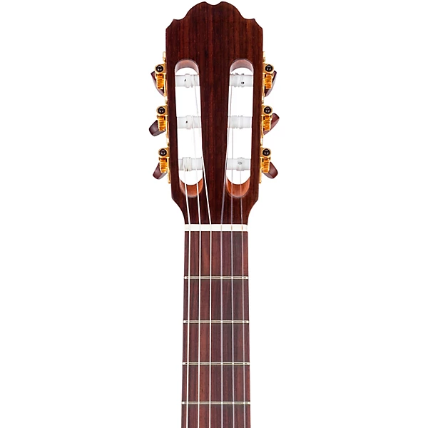 F65CW TL Thin Bodied Nylon String Acoustic Electric Guitar Natural