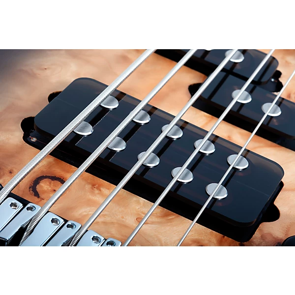 Schecter Guitar Research Reaper 5 5 String Electric Bass Guitar Satin Charcoal Burst