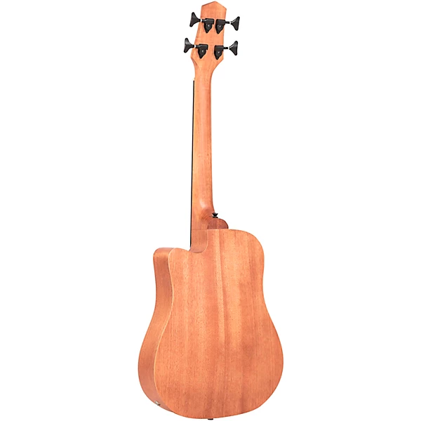 23 Scale Acoustic Electric MicroBass Natural