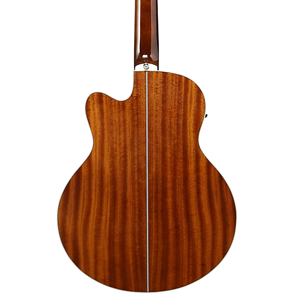 AEB105E Acoustic Electric 5 String Bass Gloss Natural