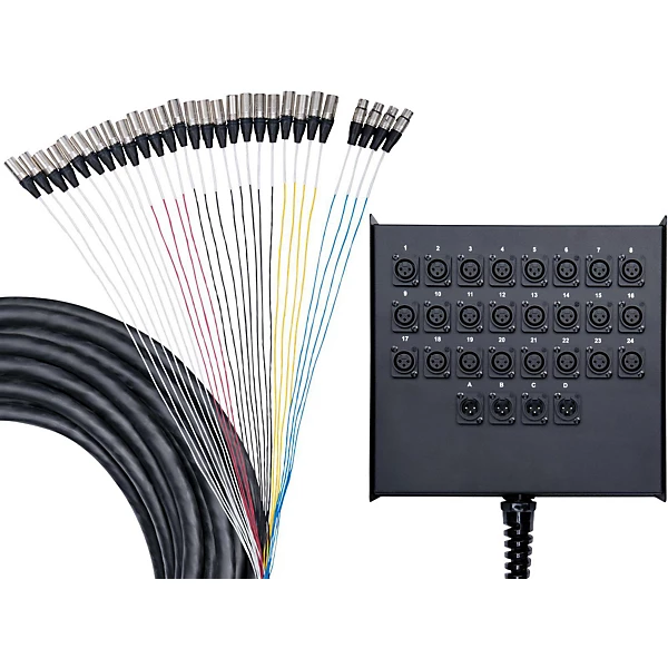 Advantage 24x4 Snake with XLR Returns 100 Ft 100 ft Black