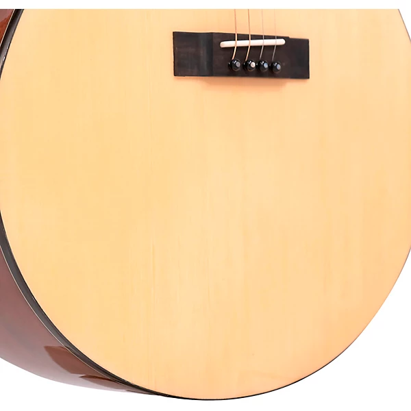 TG 10 Tenor Acoustic Guitar Natural
