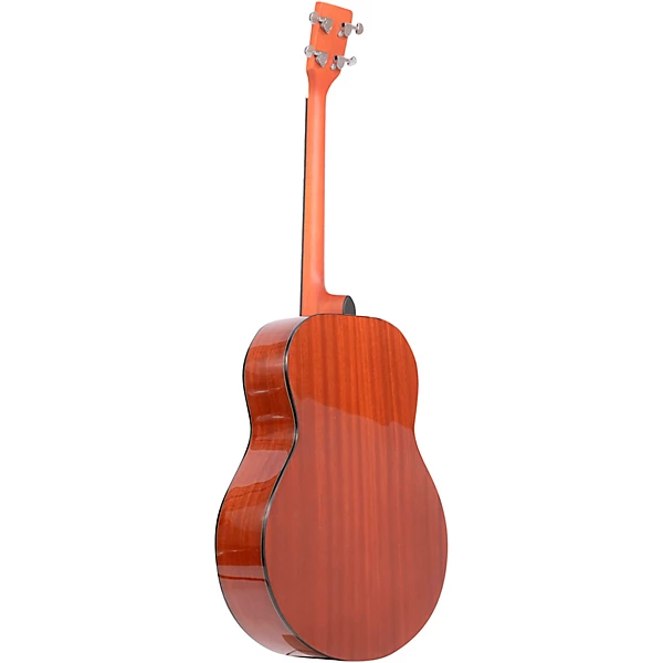 TG 10 Tenor Acoustic Guitar Natural