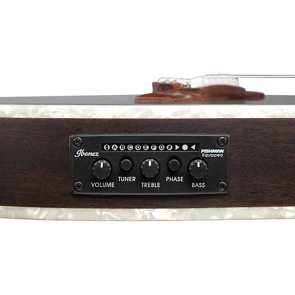 TOD10NL Tim Henson Signature Left Handed Nylon String Acoustic Electric Guitar Transparent Black Flat