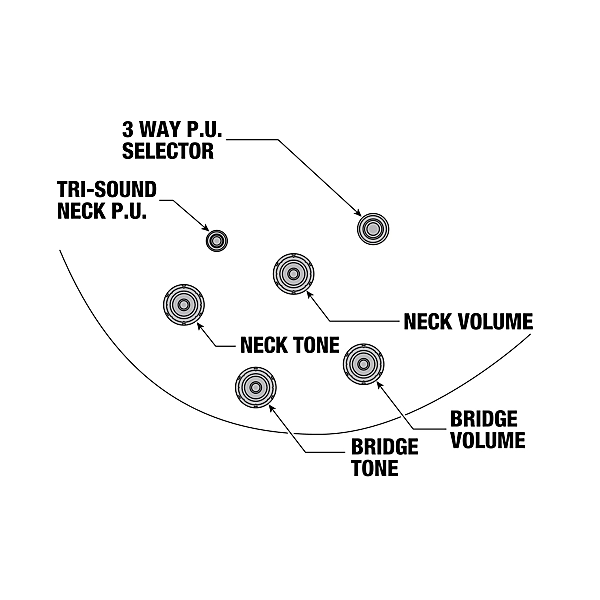 Ibanez John Scofield Signature Electric Guitar Two tone Burst