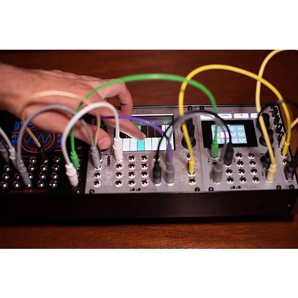 1010music Bitbox mk2 Eurorack Performance Sampler Level 1 M11554004000000.gc