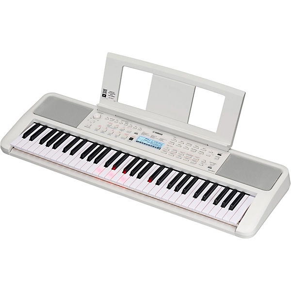 EZ310 61 Key Portable Light Up Keyboard With Power Adapter