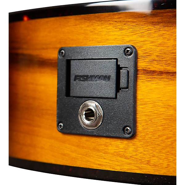 Breedlove Pursuit Exotic All Myrtlewood Companion Acoustic Electric Guitar Tiger's Eye