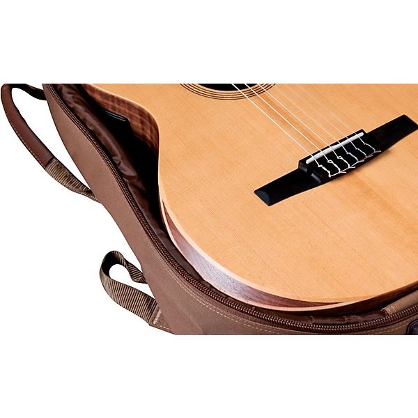 Taylor Academy 12e N Grand Concert Nylon String Acoustic Electric Guitar Natural