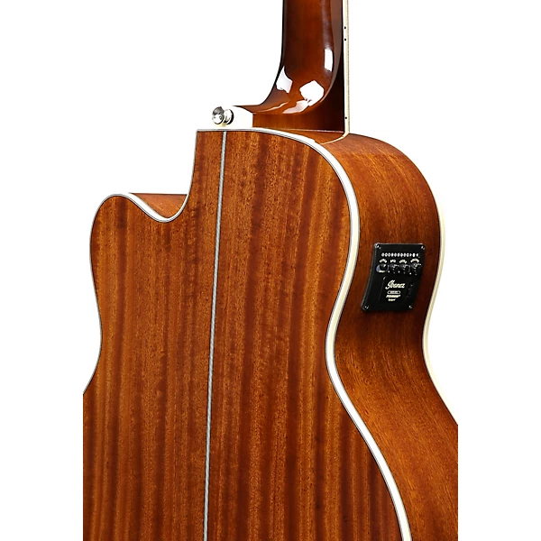 AEB105E Acoustic Electric 5 String Bass Gloss Natural