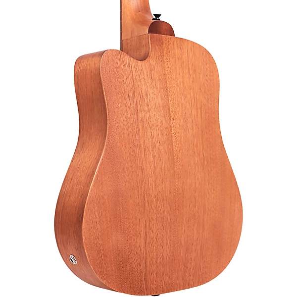 23 Scale Fretless Acoustic Electric MicroBass Natural