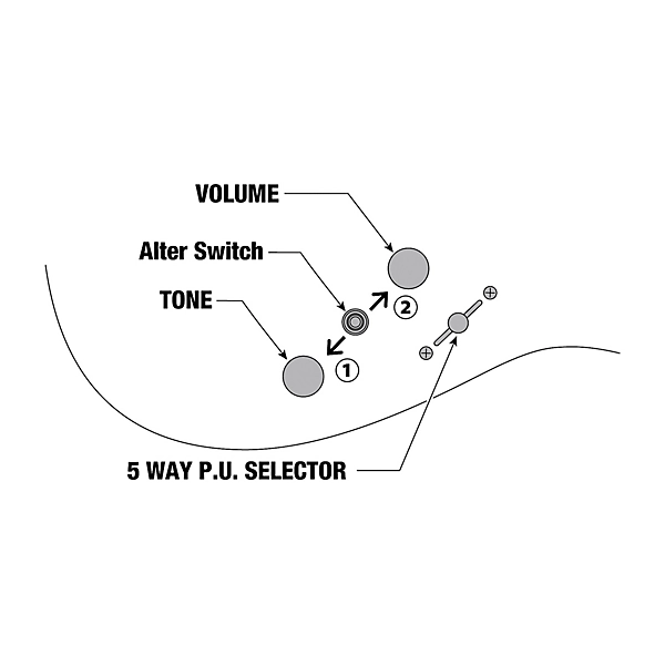 Ibanez RG Iron Label RGRB720 7 String Electric Guitar Black Flat