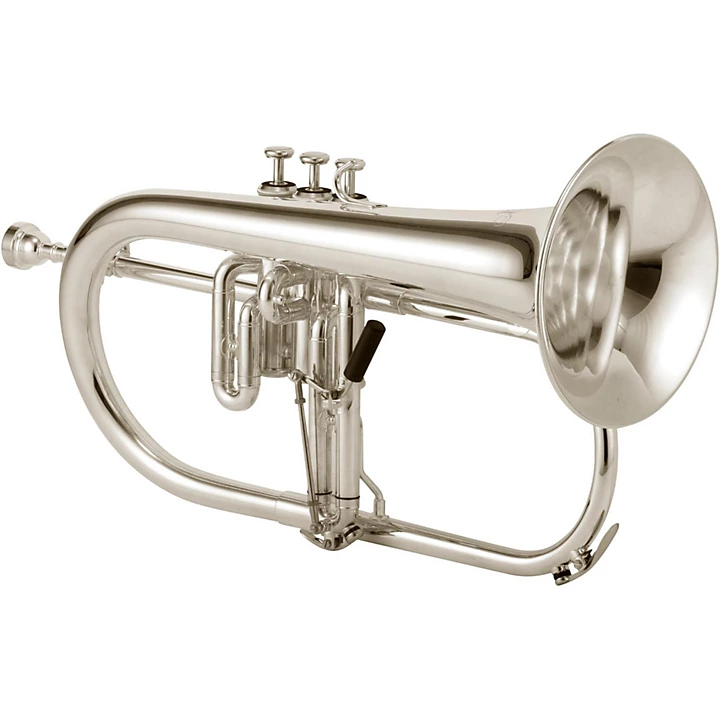 1646R Professional Series Bb Flugelhorn