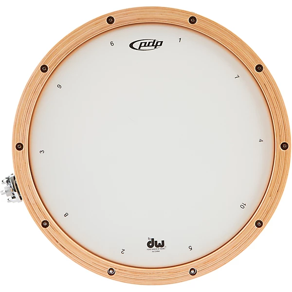 Concept Series 20 Ply Snare Drum with Wood Hoops