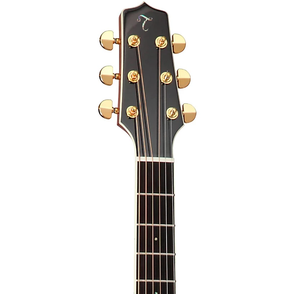 CP7MO Thermal Top Acoustic Guitar Natural