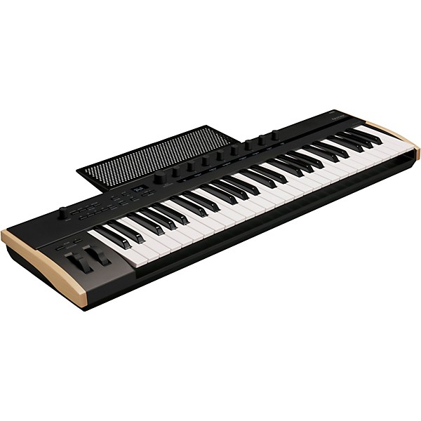 KORG Keystage MIDI Keyboard Controller With Polyphonic Aftertouch Level 1 49 Key M06060004000001.gc