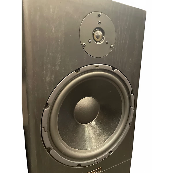 Tyler Acoustic Used Tyler Acoustic HALO 3 MONITOR PAIR Unpowered Monitor.gc