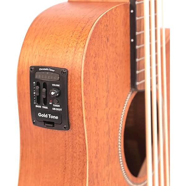 23 Scale Acoustic Electric MicroBass Natural