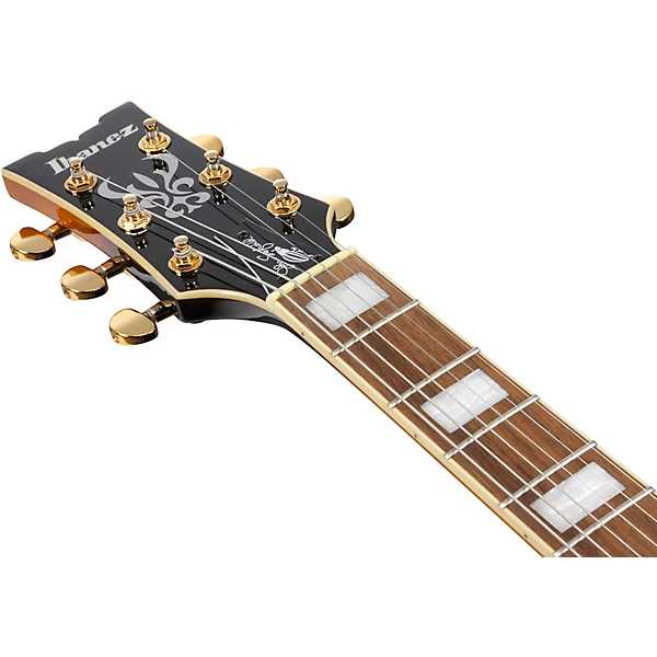 Ibanez John Scofield Signature Electric Guitar Two tone Burst