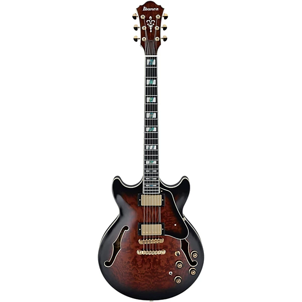 AM153QA Artstar Series Electric Guitar Dark Brown Sunburst