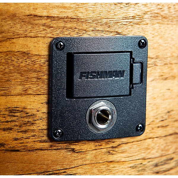 Artista Pro European Spruce Myrtlewood