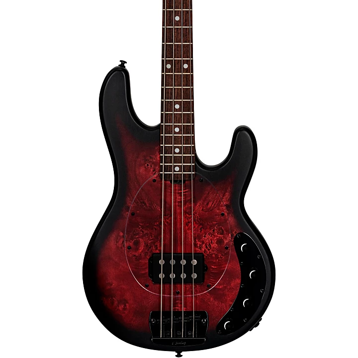 StingRay RAY34 Poplar Burl Top Bass Dark Scarlet Burst Satin