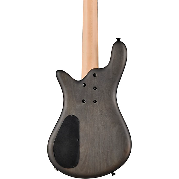 See All Spector 5 String Electric Bass