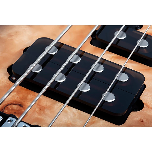 Schecter Guitar Research Reaper 4 Electric Bass Guitar Satin Charcoal Burst