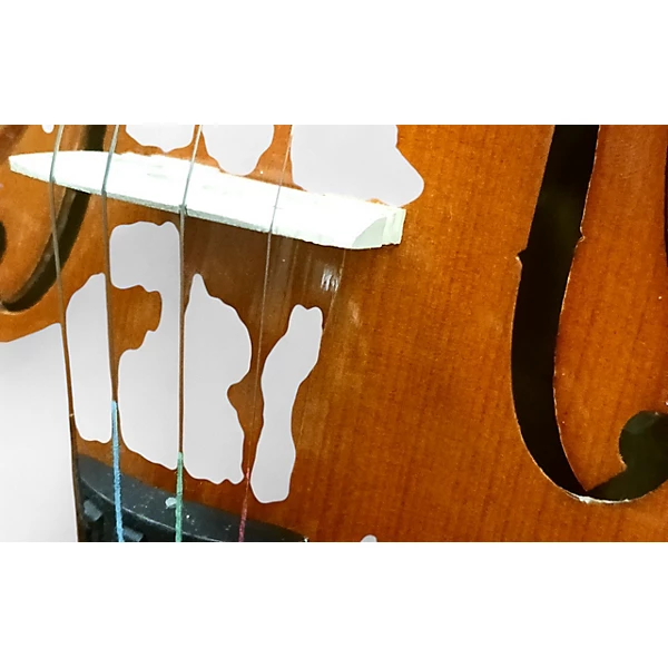 Miscellaneous 4 4 VIOLIN Acoustic Violin.gc