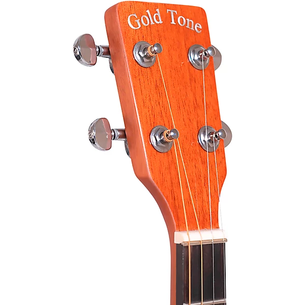 TG 10 Tenor Acoustic Guitar Natural