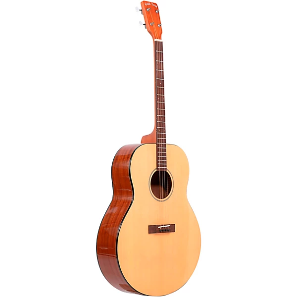 Tenor Guitar
