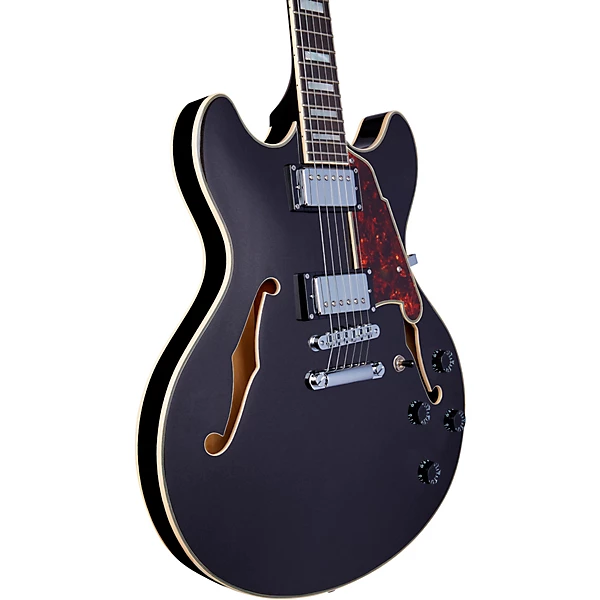 DAngelico Premier DC Semi Hollow Electric Guitar with Stopbar Tailpiece Level 1 Black Flake L00603004004000.gc