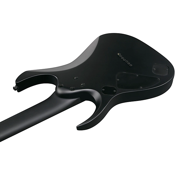 Ibanez RGD Iron Label 7 String Electric Guitar Black Flat