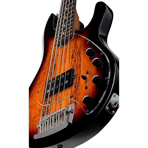 StingRay 5 RAY35 Spalted Maple Top Bass 3 Tone Sunburst